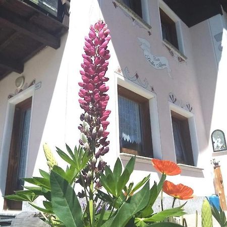 Baita Stella Alpina Livigno Exterior photo