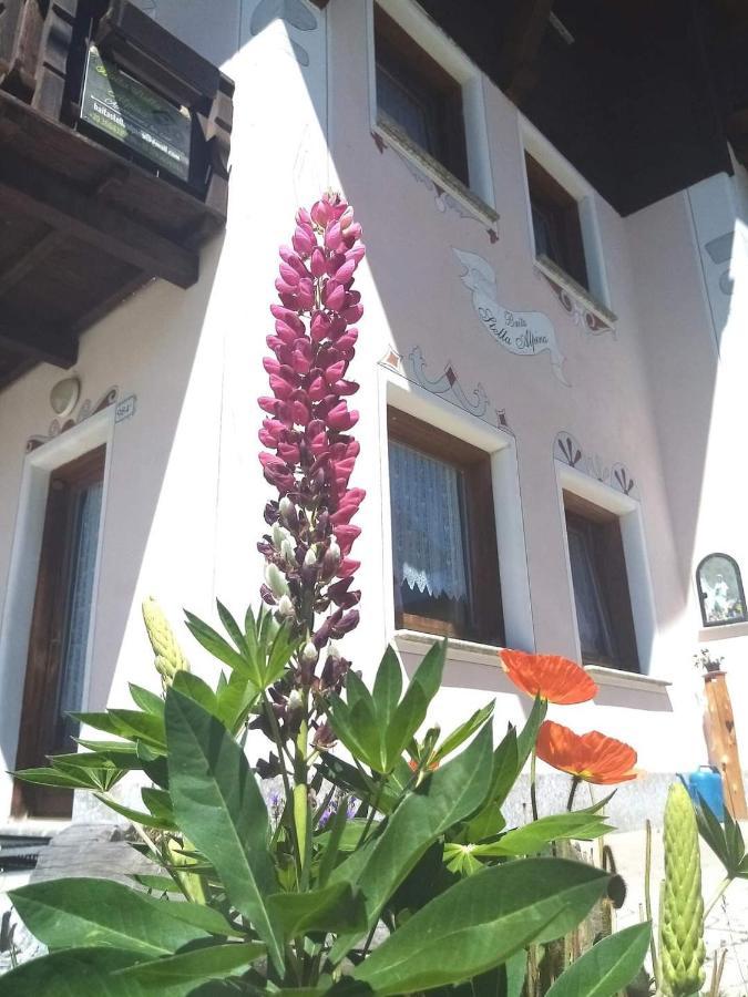 Baita Stella Alpina Livigno Exterior photo